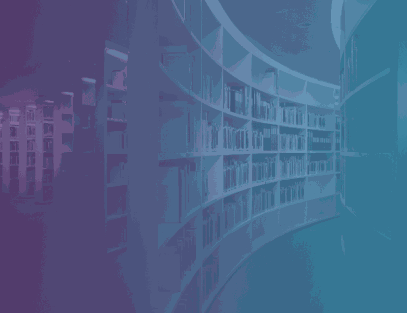 image-800-df6ba362d6fa54a08077fa3c16d456ee (1).png