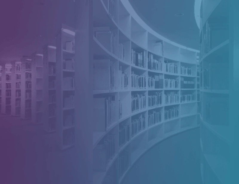 image-800-df6ba362d6fa54a08077fa3c16d456ee (1).png