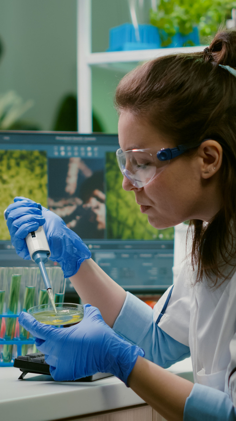 Researcher at the UPC